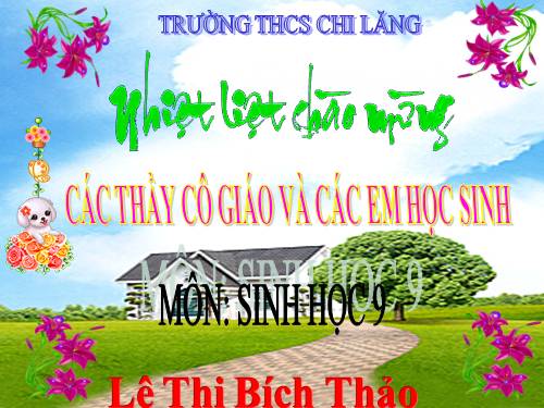 Bài 29. Bệnh và tật di truyền ở người