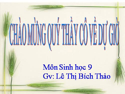 Bài 18. Prôtêin