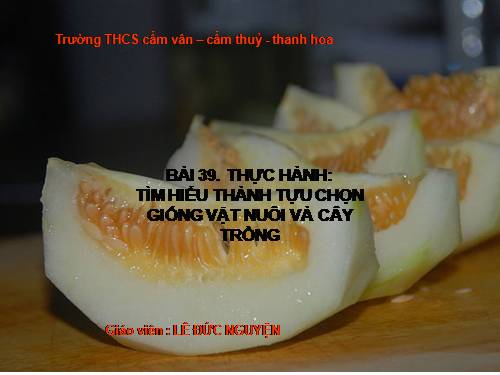 Bài 39. Thực hành: Tìm hiểu thành tựu chọn giống vật nuôi và cây trồng