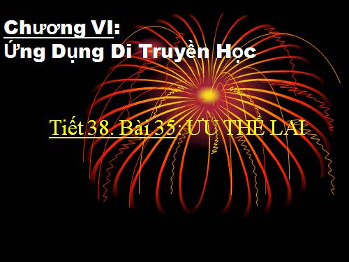 Bài 35. Ưu thế lai