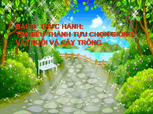 Bài 39. Thực hành: Tìm hiểu thành tựu chọn giống vật nuôi và cây trồng