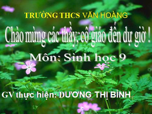 Bài 29. Bệnh và tật di truyền ở người