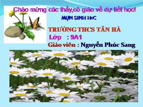 Bài 21. Đột biến gen