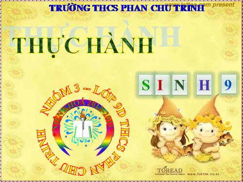 Bài 26. Thực hành: Nhận biết một vài dạng đột biến