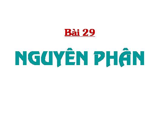 Bài 9. Nguyên phân