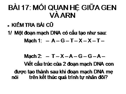 Bài 17. Mối quan hệ giữa gen và ARN