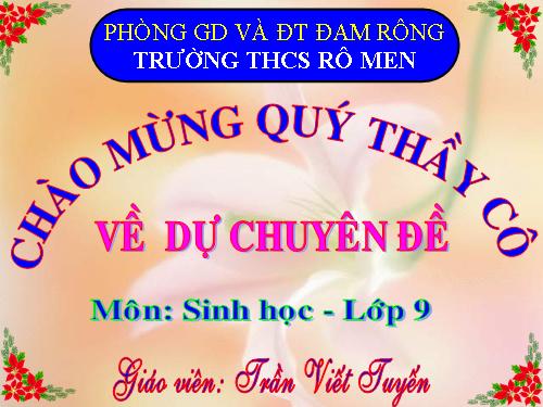 Bài 21. Đột biến gen