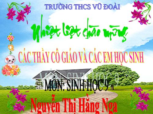 Bài 29. Bệnh và tật di truyền ở người