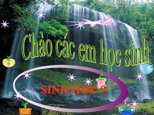 Bài 23. Đột biến số lượng nhiễm sắc thể