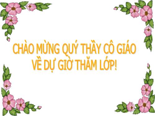 Bài 22. Đột biến cấu trúc nhiễm sắc thể