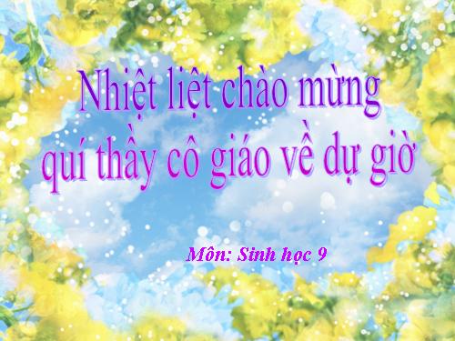 Bài 22. Đột biến cấu trúc nhiễm sắc thể