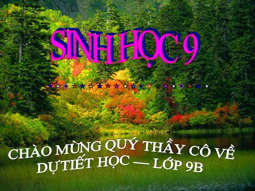Bài 17. Mối quan hệ giữa gen và ARN