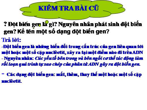 Bài 22. Đột biến cấu trúc nhiễm sắc thể