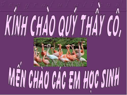 Bài 50. Hệ sinh thái