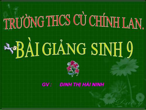 Bài 50. Hệ sinh thái