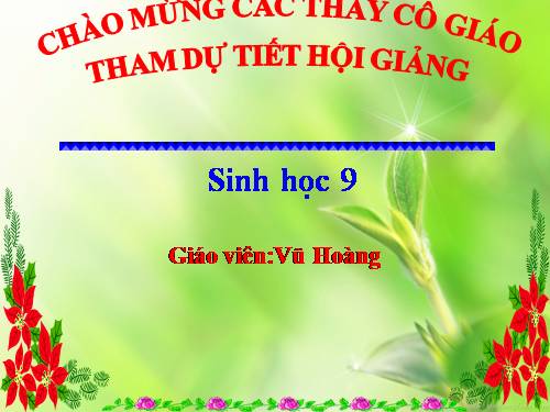 Bài 23. Đột biến số lượng nhiễm sắc thể