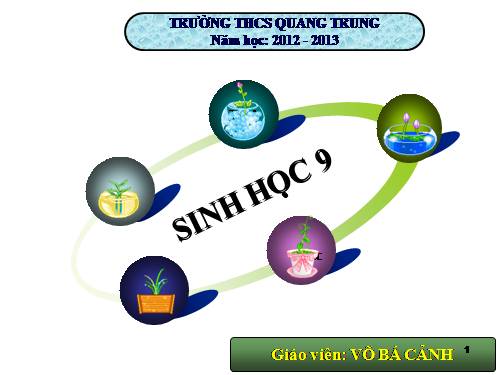 Bài 24. Đột biến số lượng nhiễm sắc thể (tiếp theo)