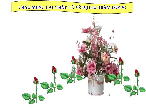 Bài 23. Đột biến số lượng nhiễm sắc thể