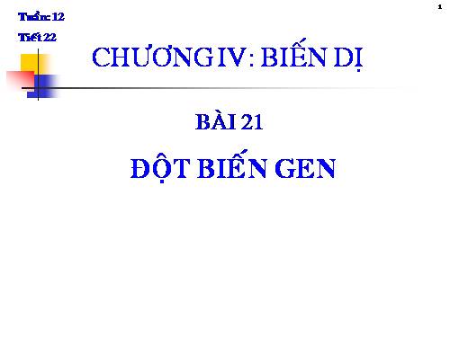 Bài 21. Đột biến gen