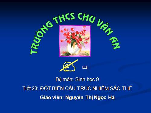 Bài 22. Đột biến cấu trúc nhiễm sắc thể