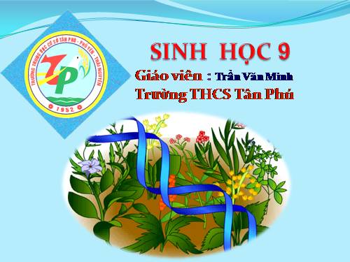 Bài 21. Đột biến gen