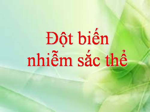 Bài 22. Đột biến cấu trúc nhiễm sắc thể