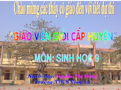 Bài 21. Đột biến gen
