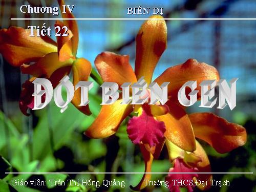 Bài 21. Đột biến gen