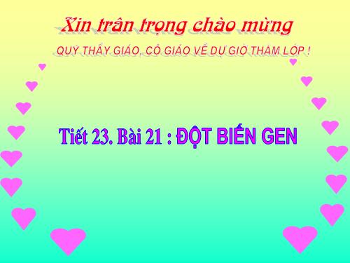 Bài 21. Đột biến gen