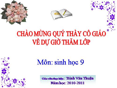 Bài 50. Hệ sinh thái