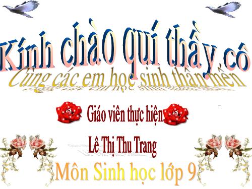 Bài 26. Thực hành: Nhận biết một vài dạng đột biến