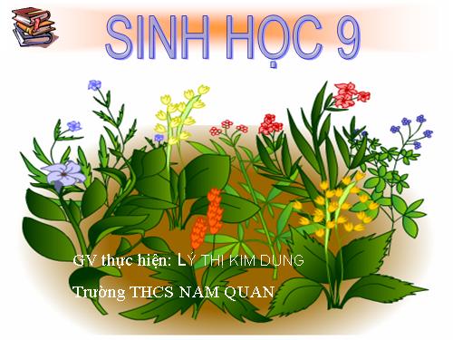 Bài 23. Đột biến số lượng nhiễm sắc thể