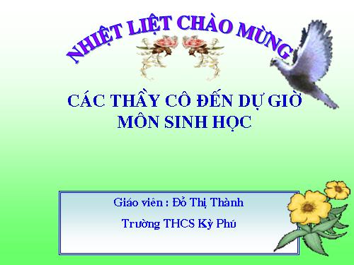 Mối quan hệ giữa gen và ARN hay