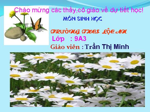 Bài 21. Đột biến gen