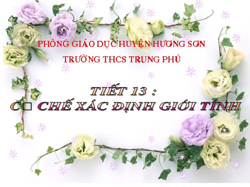 Bài 12. Cơ chế xác định giới tính