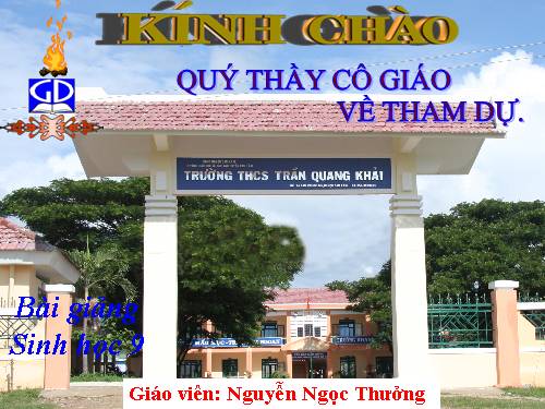 Bài 16. ADN và bản chất của gen