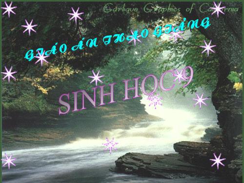 Bài 19. Mối quan hệ giữa gen và tính trạng