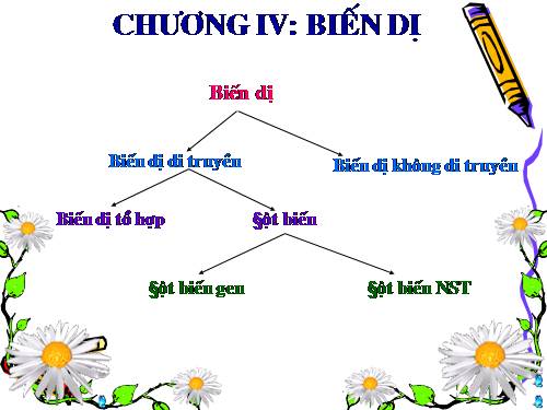 Bài 21. Đột biến gen