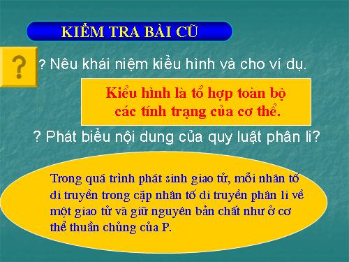 Bài 3. Lai một cặp tính trạng (tiếp theo)