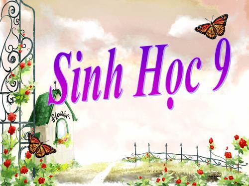 Bài 26. Thực hành: Nhận biết một vài dạng đột biến