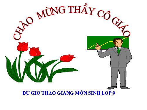 Bài 19. Mối quan hệ giữa gen và tính trạng