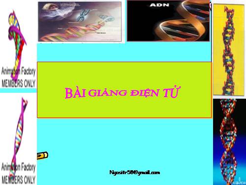 Bài 15. ADN