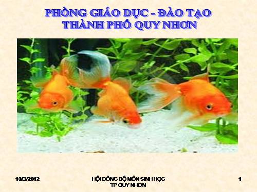 Sử dụng BDTD Sinh học