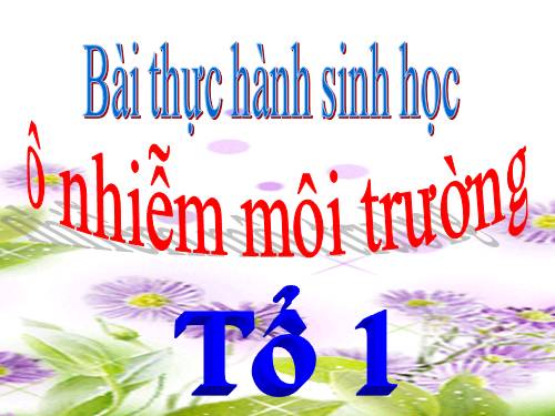 Bài 56. Thực hành: Tìm hiểu tình hình môi trường ở địa phương