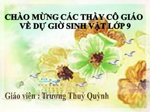 Bài 54. Ô nhiễm môi trường