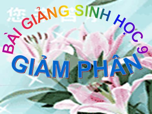 Bài 10. Giảm phân