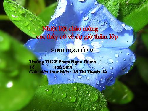 Bài 8. Nhiễm sắc thể