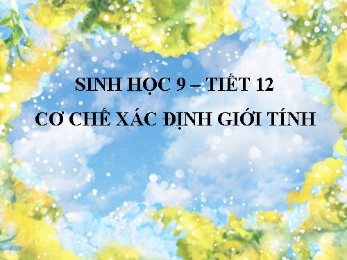 Bài 12. Cơ chế xác định giới tính