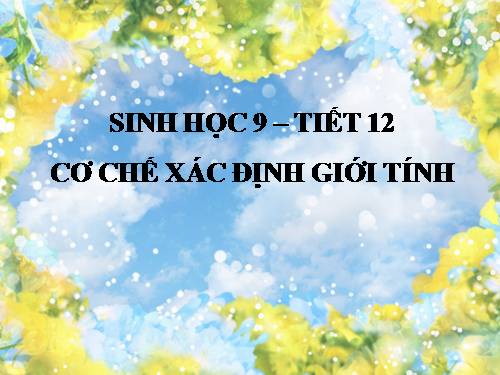 Bài 12. Cơ chế xác định giới tính