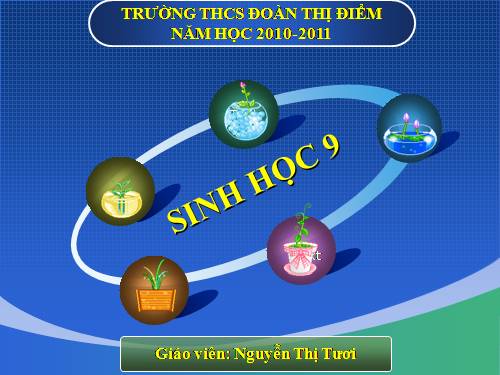 Bài 11. Phát sinh giao tử và thụ tinh